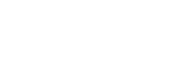 DataWise Financials